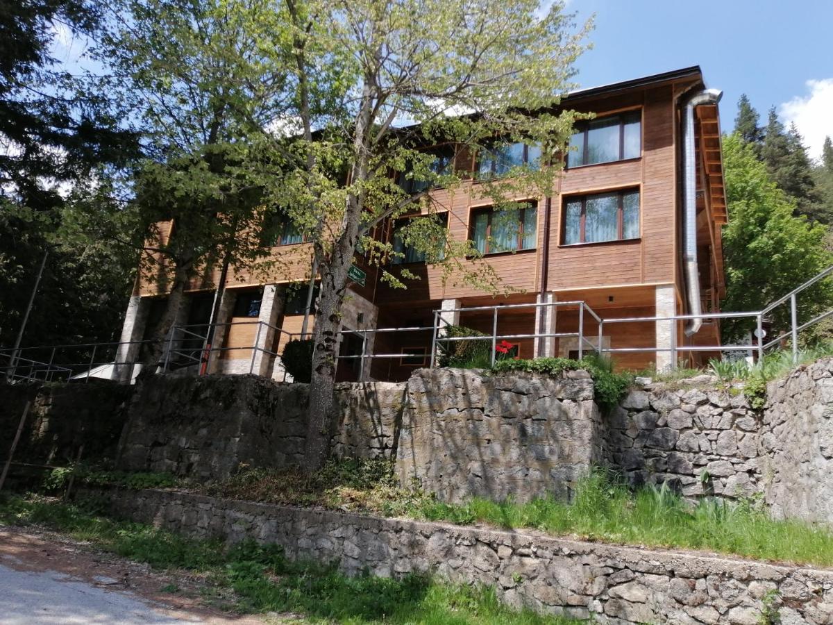 Вила Добро Поле Blagoevgrad Exterior photo